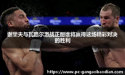 谢里夫与瓦路尔激战正酣谁将赢得这场精彩对决的胜利