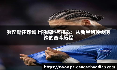 努涅斯在球场上的崛起与挑战:从新星到顶级前锋的奋斗历程