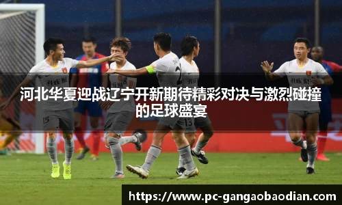 河北华夏迎战辽宁开新期待精彩对决与激烈碰撞的足球盛宴