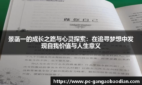 景菡一的成长之路与心灵探索：在追寻梦想中发现自我价值与人生意义