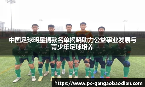 中国足球明星捐款名单揭晓助力公益事业发展与青少年足球培养